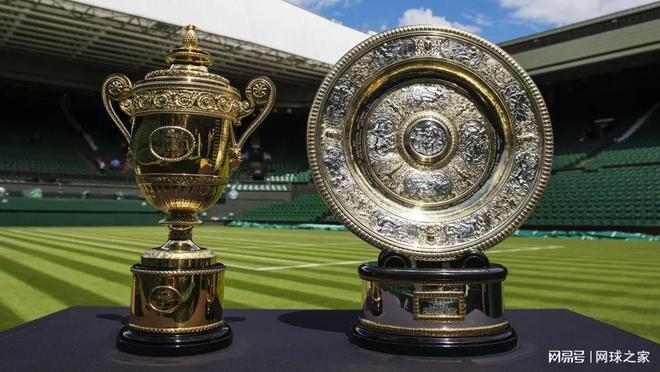 强竞争力 强竞争力